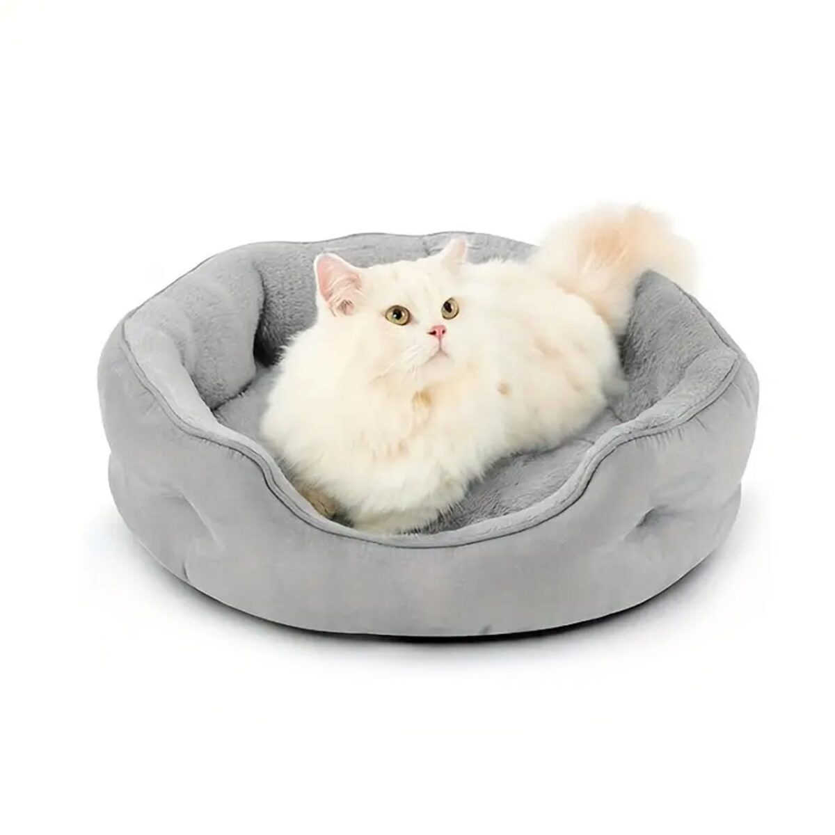 Pet Dog Bed General Thickening Dog Mat (1 Pc / Mix Design & Color) - Image 7