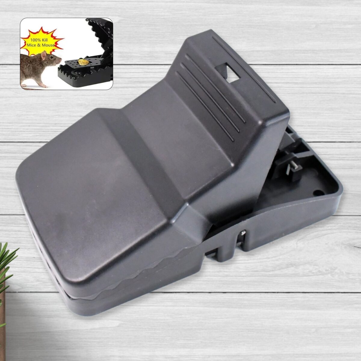 Big Mouse trap with extremely highly sensitive trigger mechanism (1 Pc) - Image 1
