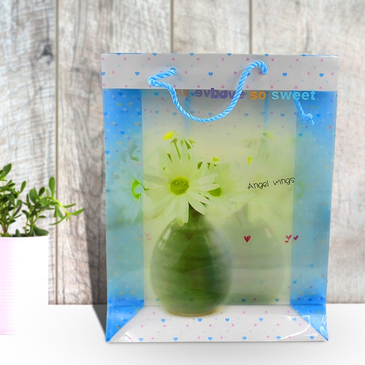 Plastic Transparent Bag With Handle (1 Pc / 34 x 26 Cm) - Image 1
