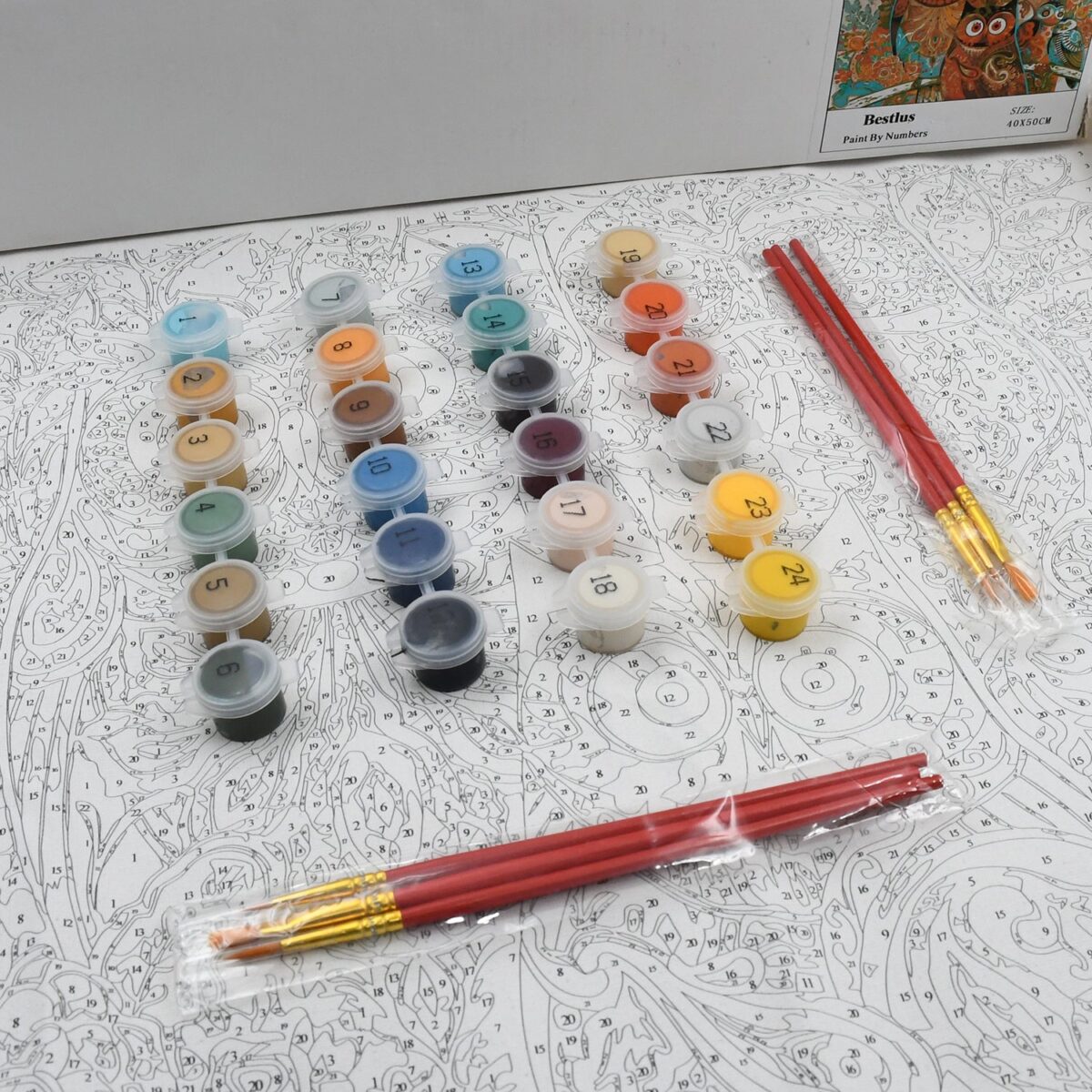 Paint by Numbers for Adults Beginner - Adults' Paint-by-Number Kits on Canvas - DIY Oil Painting by Numbers for Adults - 24 Number Color, 6 paintbrushes, pre-printed canvas (unframed) 40 cm x 50 cm - Image 1