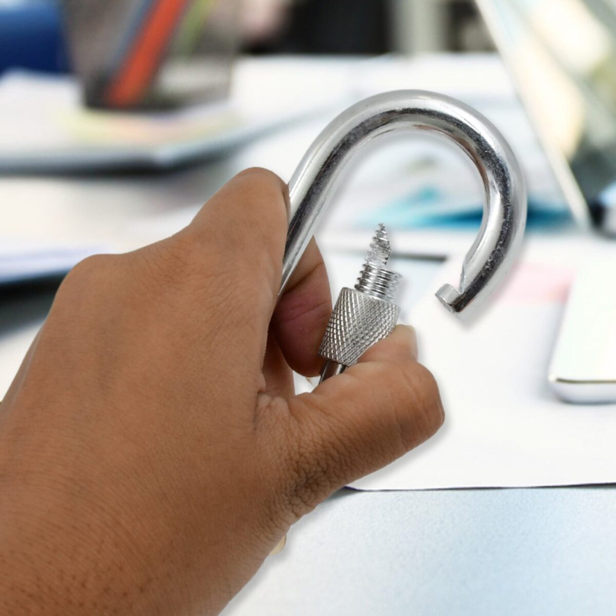 Snap Hook With Screw-Stainless Steel Snap Hook Clip Heavy Duty, Carabiner Clip (10Ãƒâ€”100 MM / 1 Pc) - Image 4