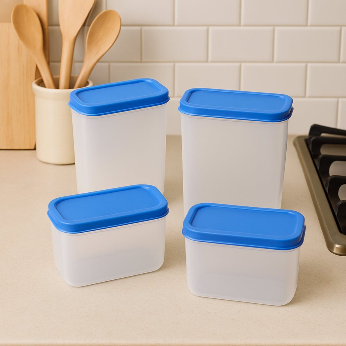 Apex Glory Plastic Storage Container Box Set (4 Pc) - Image 1