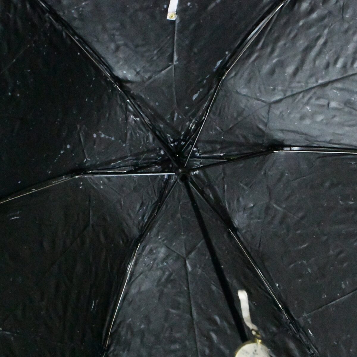 2 Fold Sun Protective Solid Foldable Outdoor Umbrella,Ã‚Â Portable Sun,Ã‚Â UV Protection LightweightÃ‚Â Rain Umbrella With Umbrella CaseÃ‚Â For Girls, Women, Men, Boys - Image 3