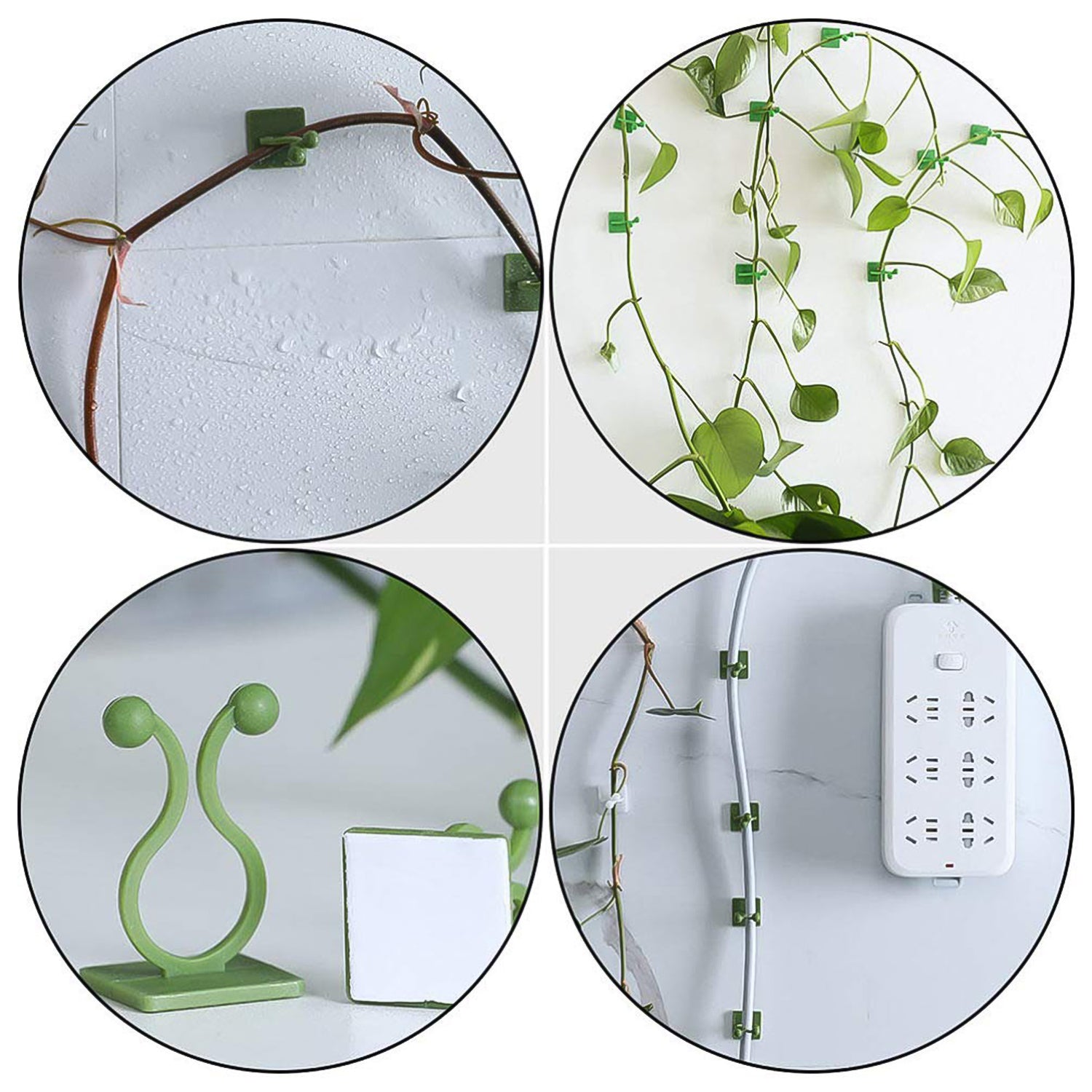03_a59932da-9fe1-4470-ba46-df6928019eef.jpg Plant Climbing Wall Fixture Clip Self-Adhesive Hook (200 Pcs Set) - Image 5