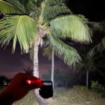 LED Battery Operated Keychain Flashlight withÂ Folding Bracket Bottle Opener (1 Pc) - Image 5