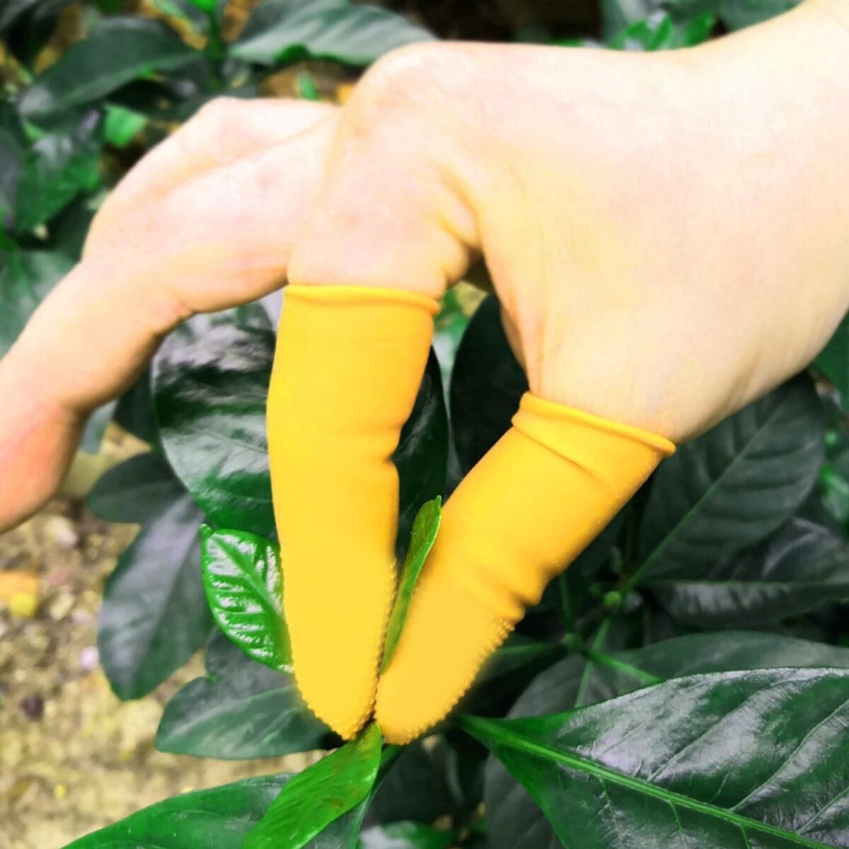 Finger Caps, Silicone Finger Protectors Sleeves (Finger Cots / 5 Pcs Set / yellow) - Image 3
