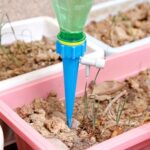 Adjustable Plant Watering Spikes with Slow Release Valve - Image 4