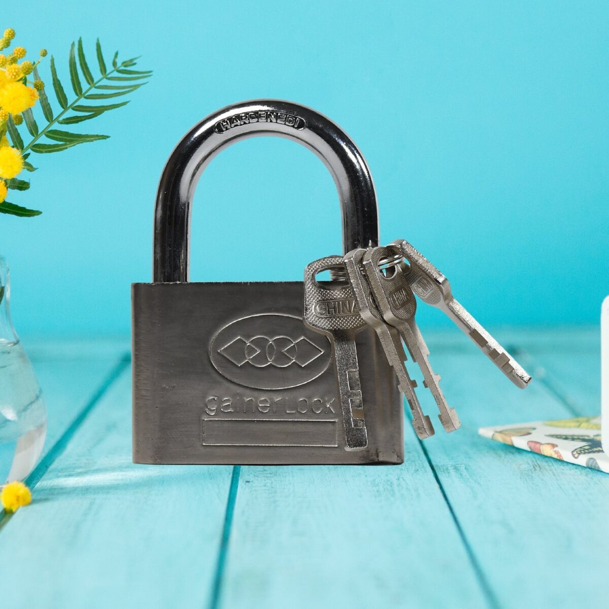 Locking Solutions and Systems 7675 Padlock Sherlock Lock - Image 1