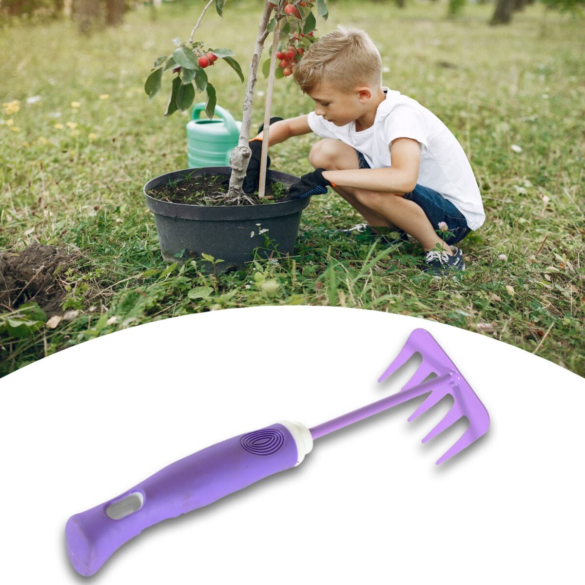 Product - Image 15