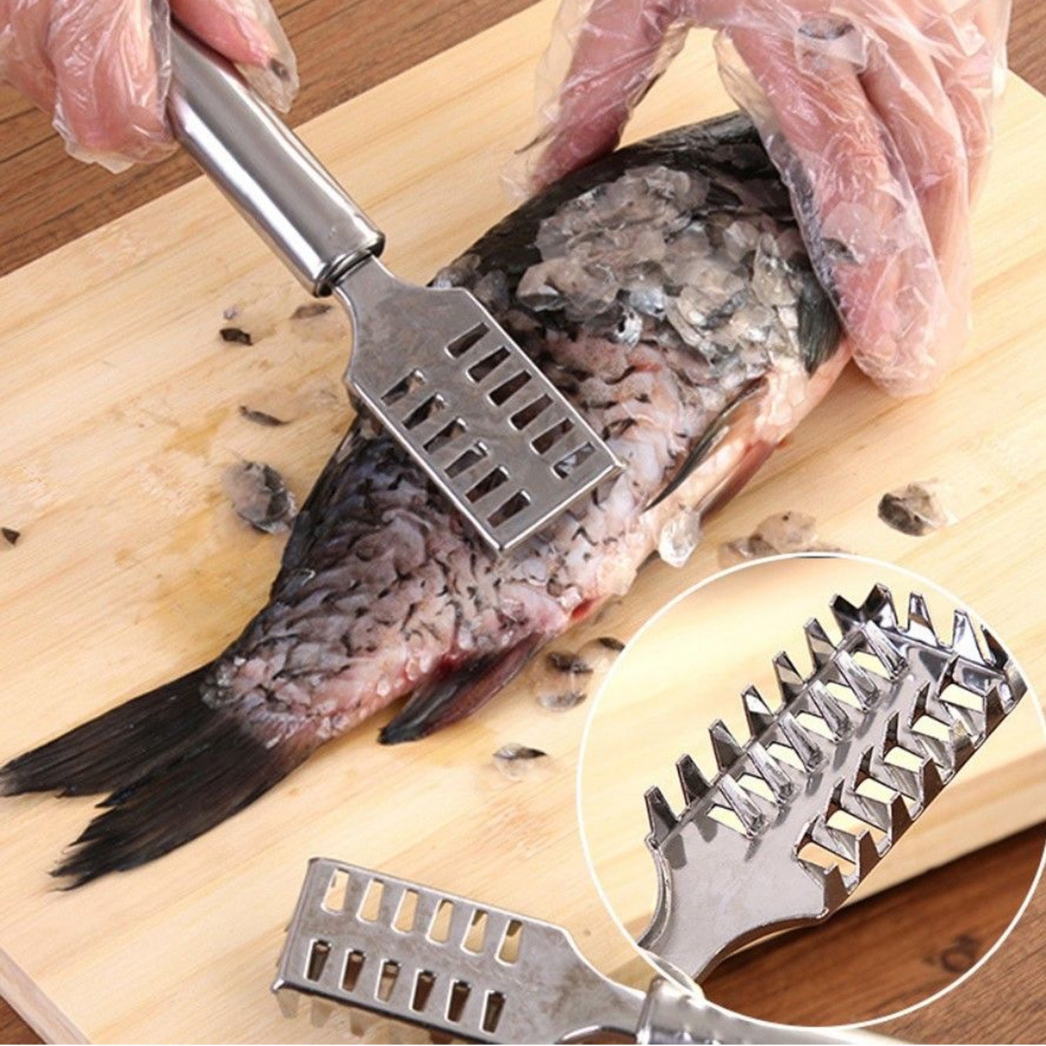 04_af839493-2335-42ac-a667-f44c0865ef44.jpg Stainless Steel Fish Scale Remover Scraper ââ¬â Sawtooth Kitchen Tool - Image 5