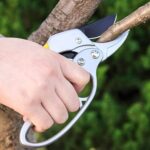 Gardening Shears, Enhanced Garden Shears Pruning Machine (200 MM / 1 Pc) - Image 4