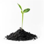 Organic Vermicompost Black Soil for Plants Health Manure (1 KG Approx) - Image 7