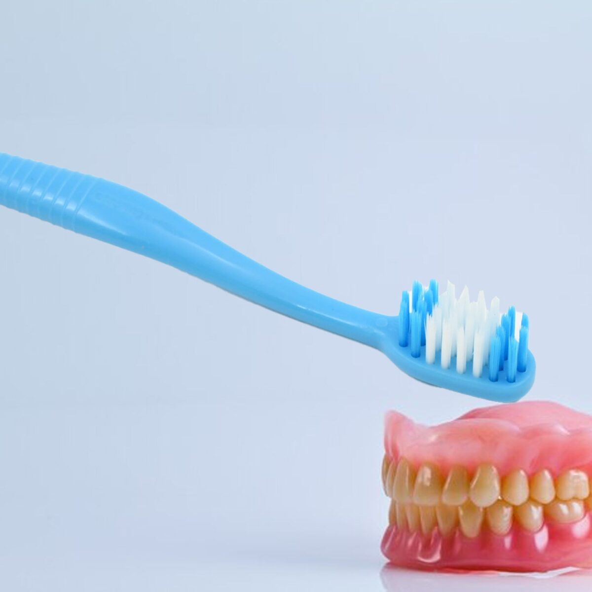 2-in-1 Soft Toothbrush & Tongue Cleaner for All Ages (1 Pc, With Cover) - Image 5