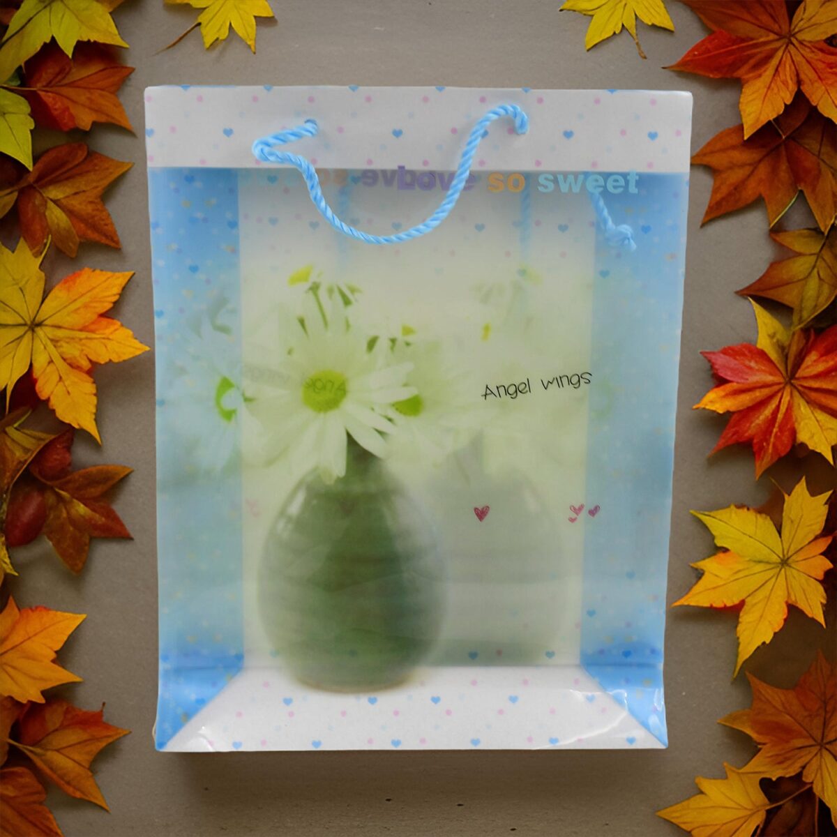 Plastic Transparent Bag With Handle (1 Pc / 34 x 26 Cm) - Image 4