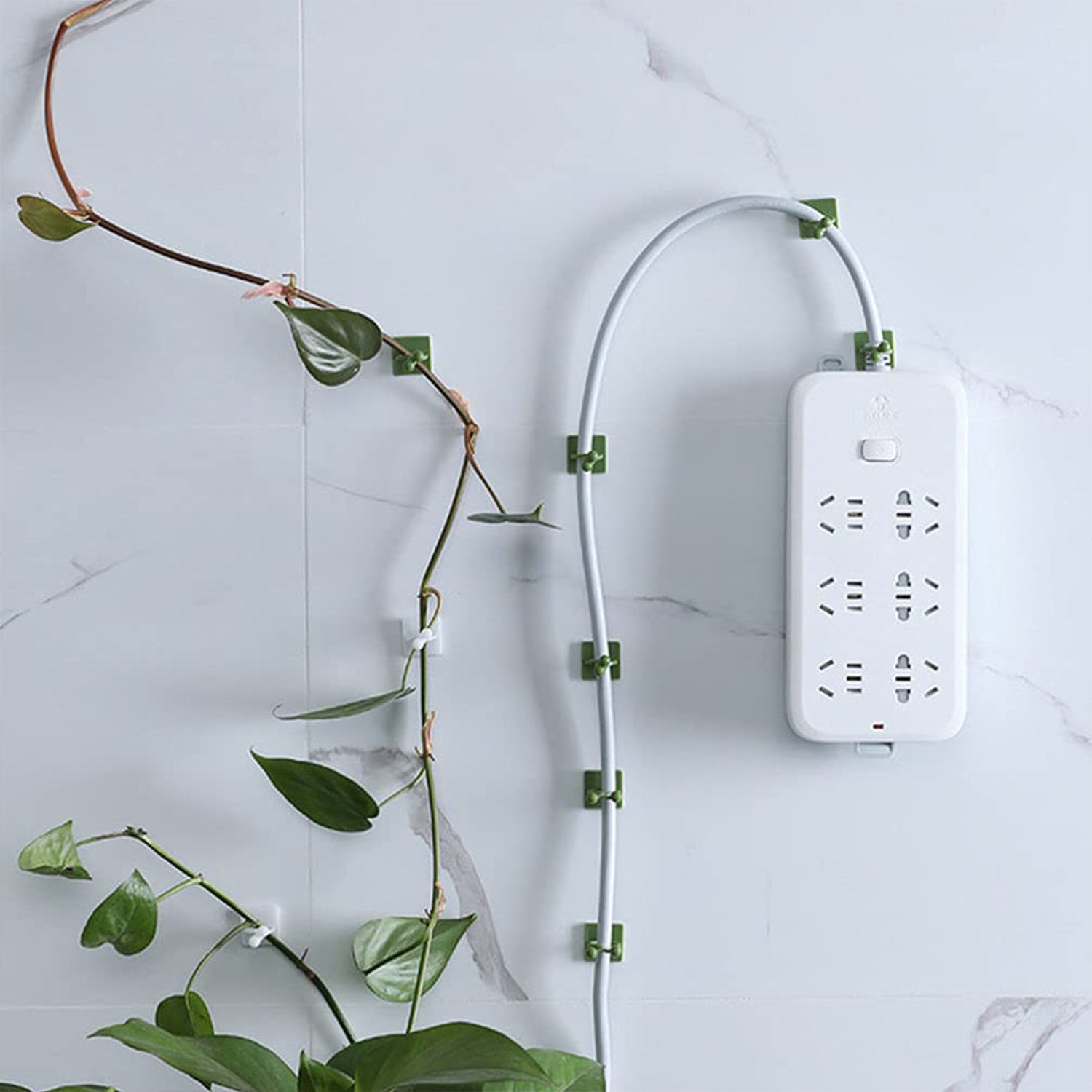 05_91565168-78ab-4c77-bb23-64cc8dae51da.jpg Plant Climbing Wall Fixture Clip Self-Adhesive Hook (200 Pcs Set) - Image 7