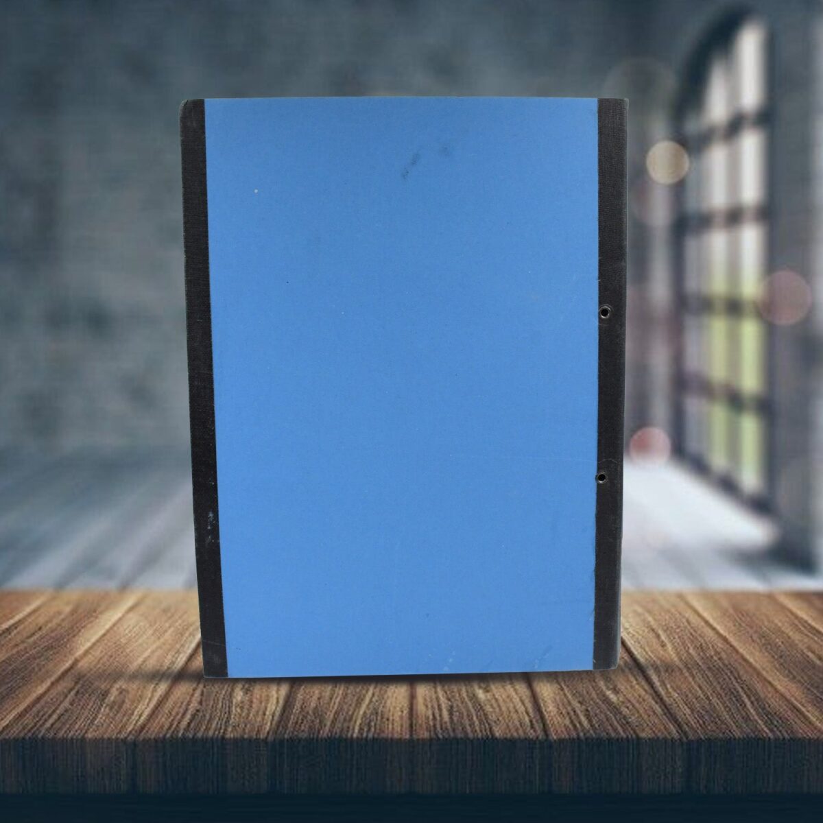 Standard file plastic clip, File Folder Paper Holder Documents File (35Ãƒâ€”26 Cm / 1 Pc / MOQ :- 4 Pc) - Image 5