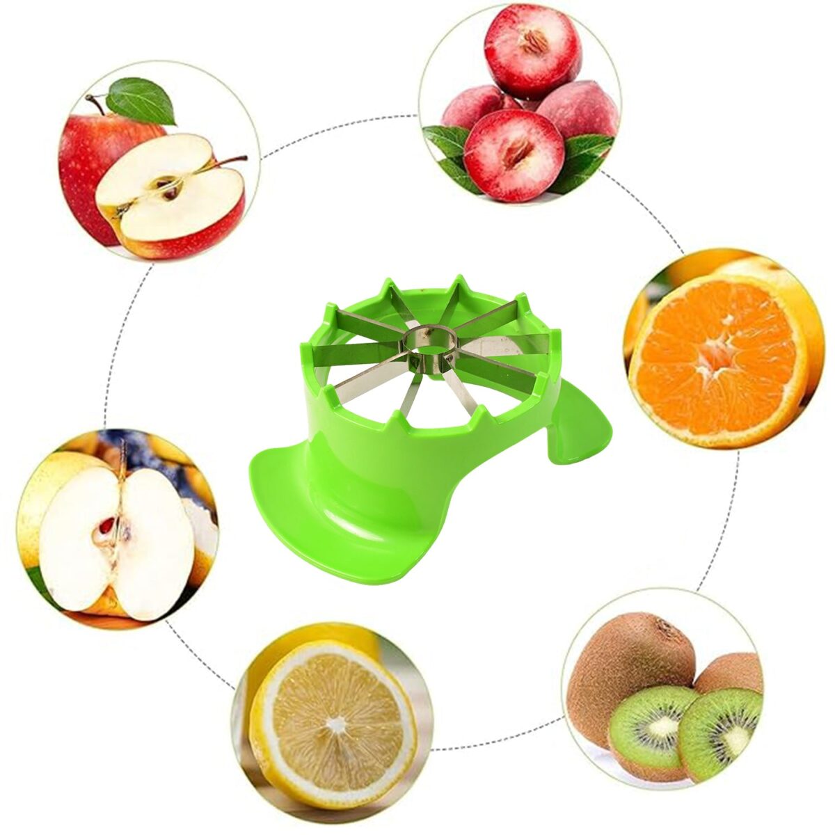 Apex Apple Cutter with Container Ã¢â‚¬â€œ Unbreakable ABS Body & Stainless Steel Blades - Image 3