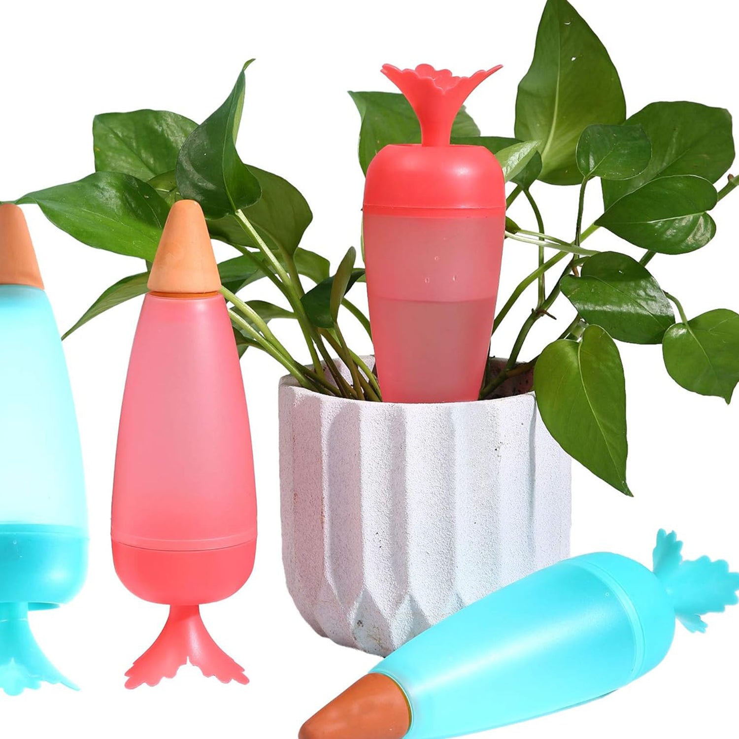 06_60da8603-6bba-422d-8af4-6496e11ea3a6.jpg Self Watering Spike Plant Watering Globes And Automatic Plant Watering System (1 Pc) - Image 3