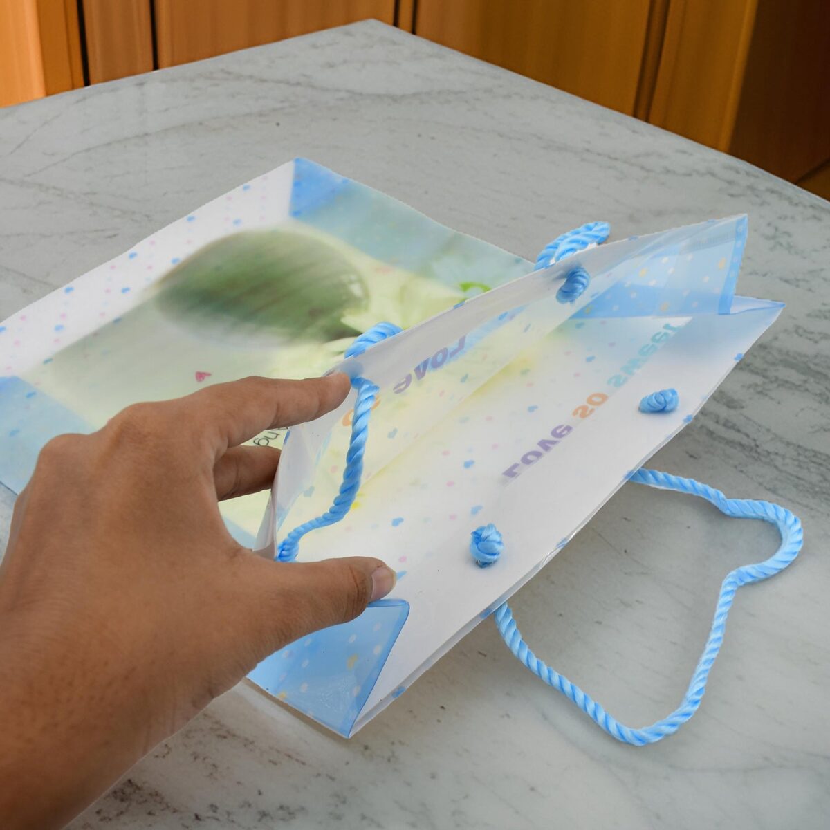 Plastic Transparent Bag With Handle (1 Pc / 34 x 26 Cm) - Image 6