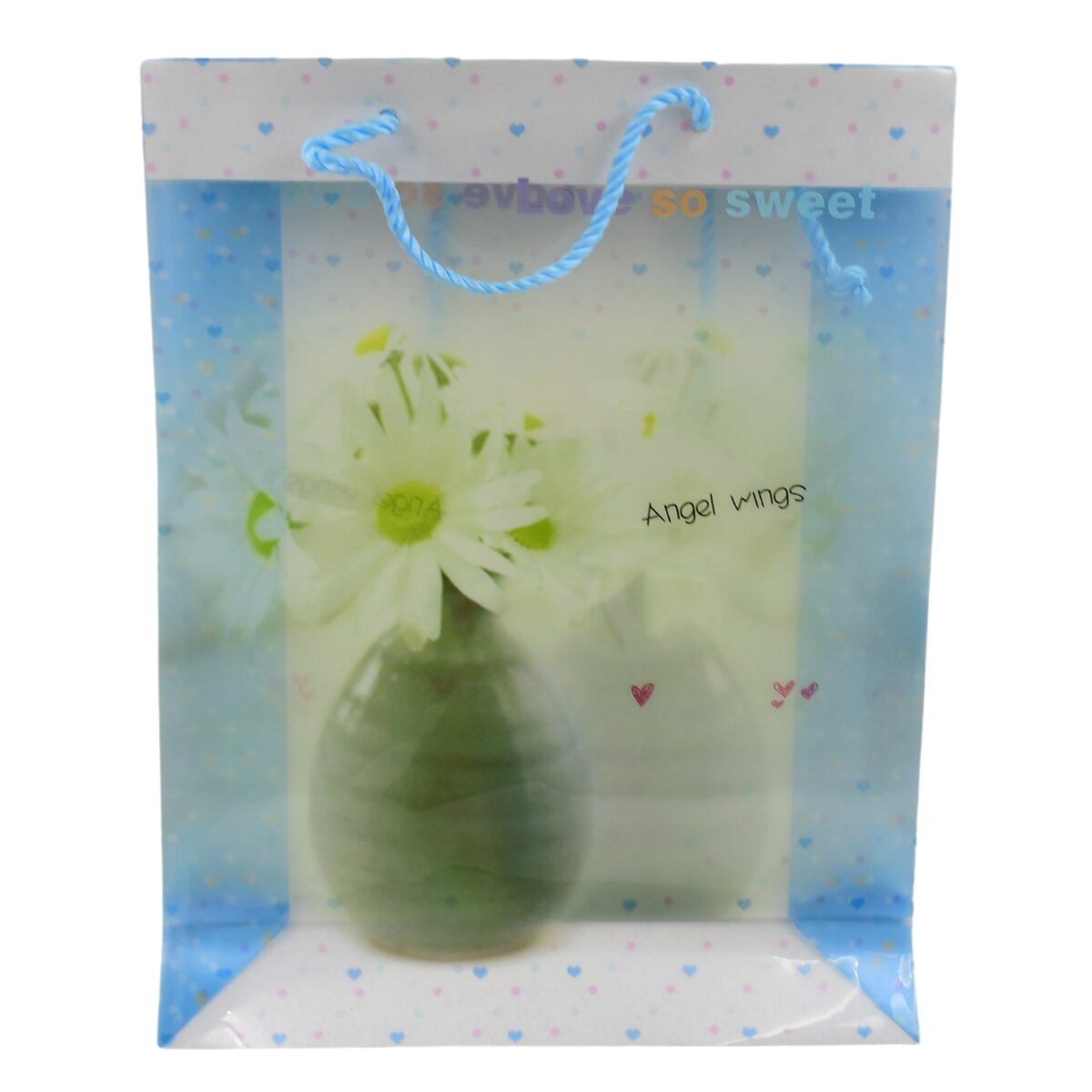 Plastic Transparent Bag With Handle (1 Pc / 34 x 26 Cm) - Image 5