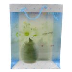 Plastic Transparent Bag With Handle (1 Pc / 34 x 26 Cm) - Image 5