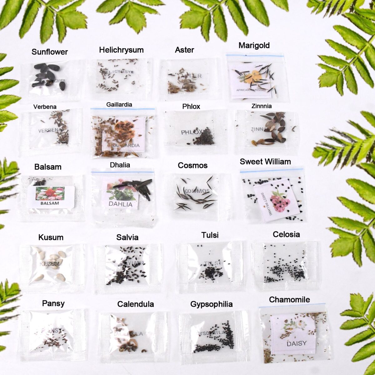 Seeds 20 Varieties of Flower Seeds Combo (1 Pkt / 20 Varieties) - Image 1
