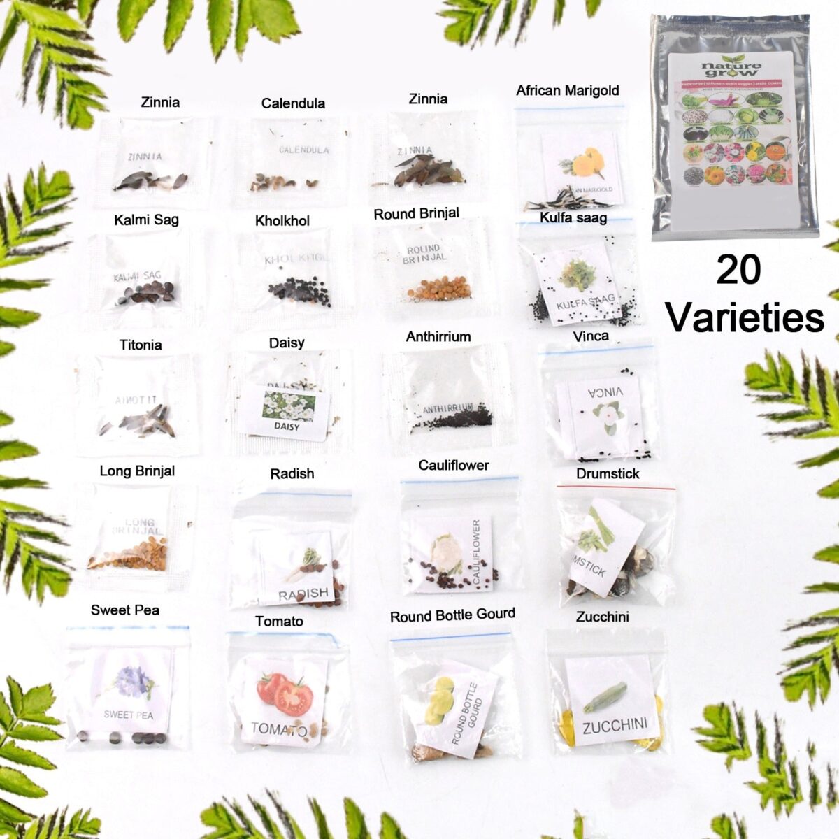20 Varieties of Vegetable & Flower Seeds Combo (1 Pkt. / 20 Varieties) - Image 1
