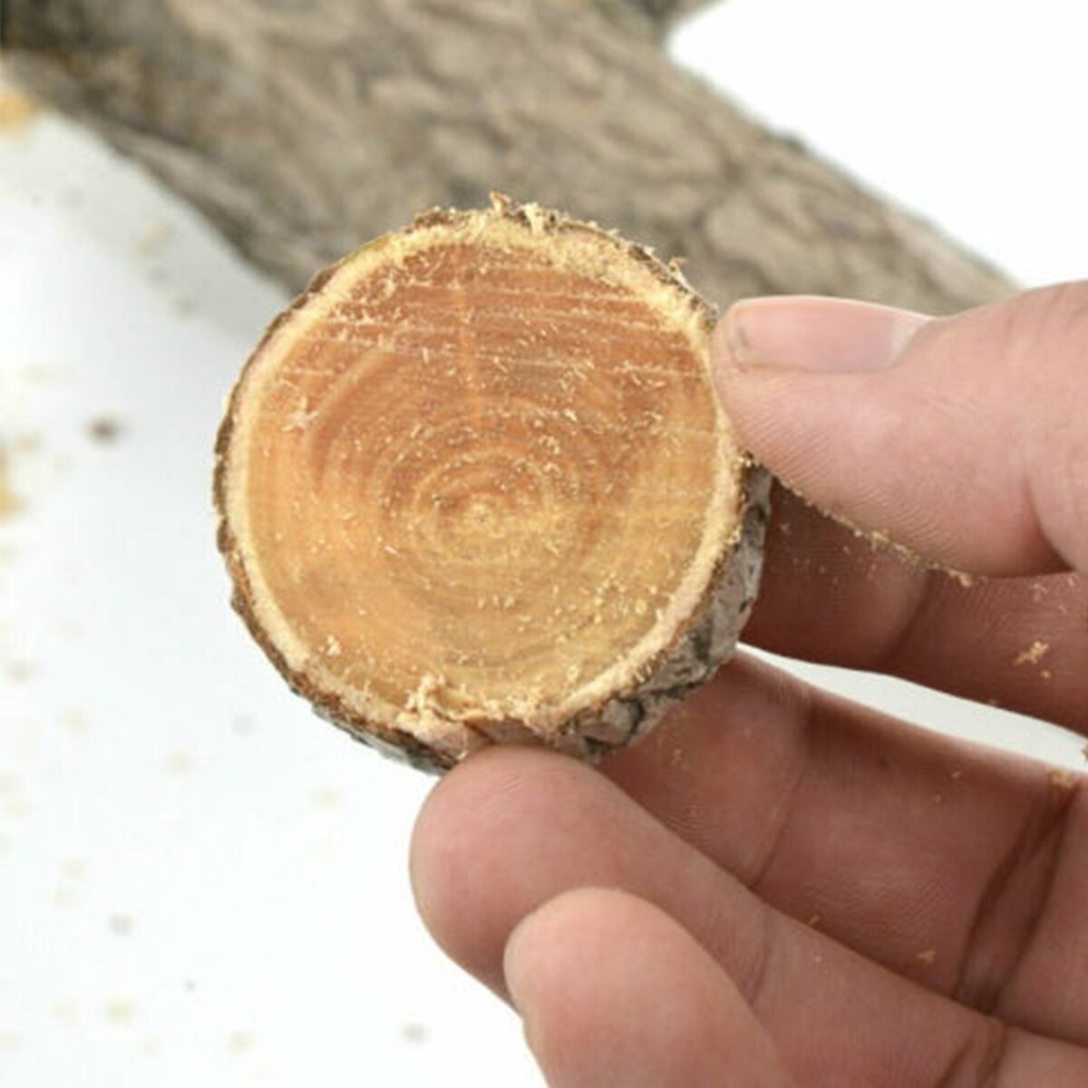 High Carbon Steel Tree Pruning Saw 270 mm Cutter - Image 6