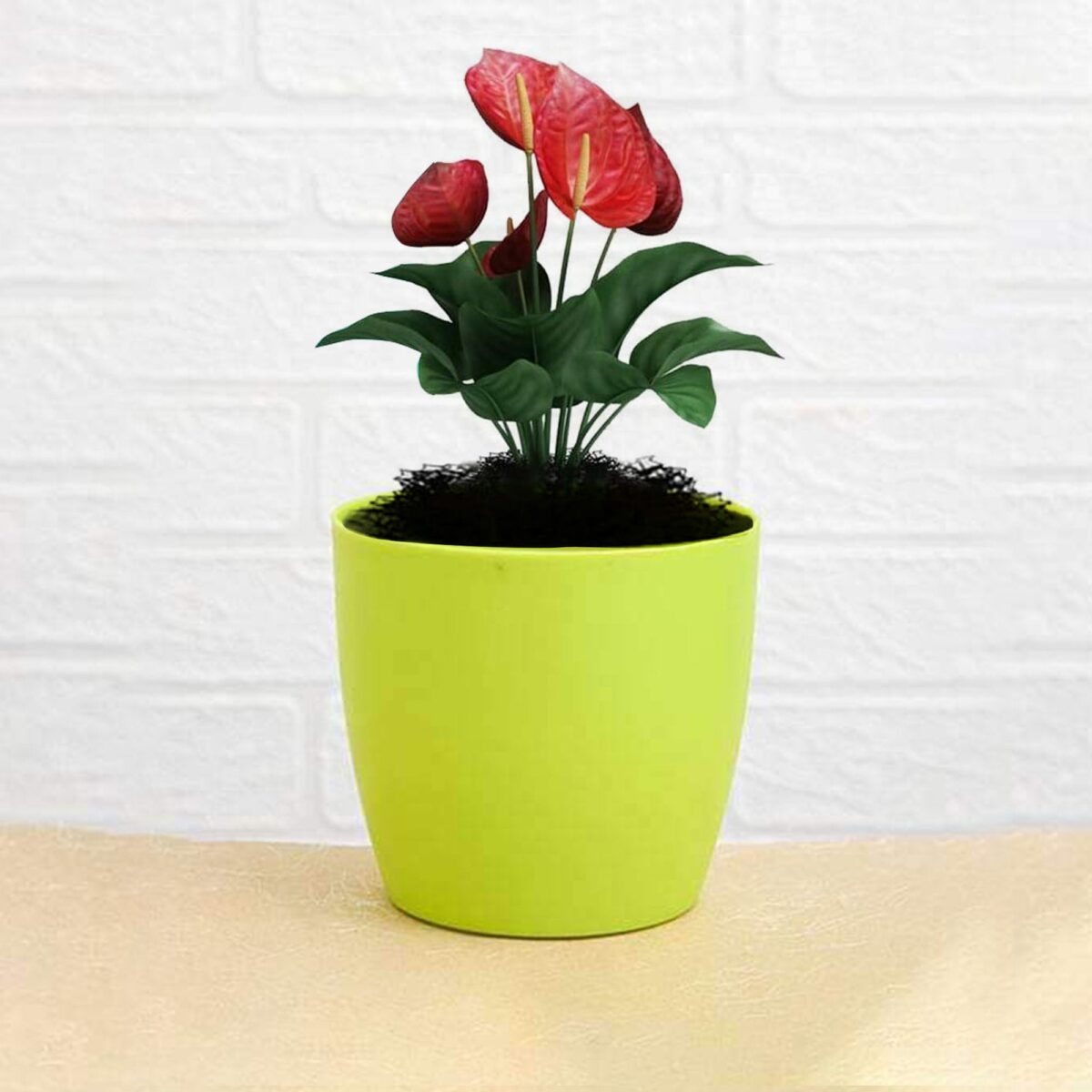 Flower Pots Round Shape For Indoor / Outdoor Gardening - Image 5