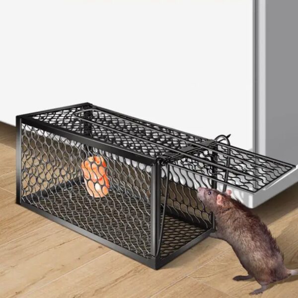 Foldable Live Mouse Trap â€“ Easy Catch & Release Cage for Mice, Squirrels, Voles & Hamsters