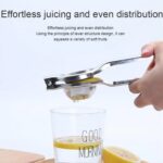 Lemon Squeezer Steel Polish - Image 4