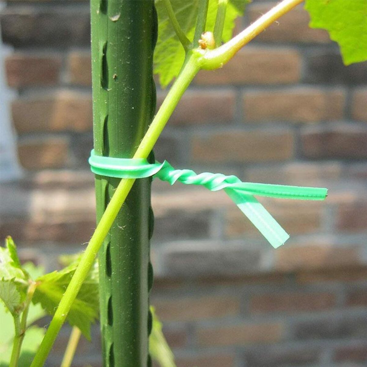 Plastic Twist Tie Wire Spool With Cutter For Garden Yard Plant 50m (Green) - Image 3