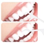 Oral Care Dental Floss Toothpick Sticks - Image 6