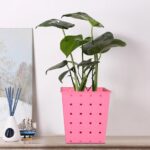 Square Single Plant Railing Dotted Planters