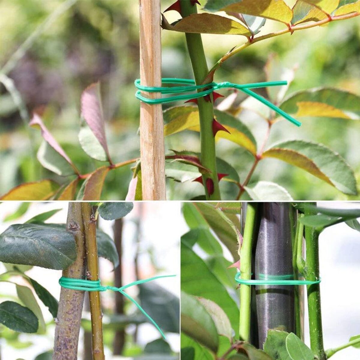 Plastic Twist Tie Wire Spool With Cutter For Garden Yard Plant 50m (Green) - Image 6