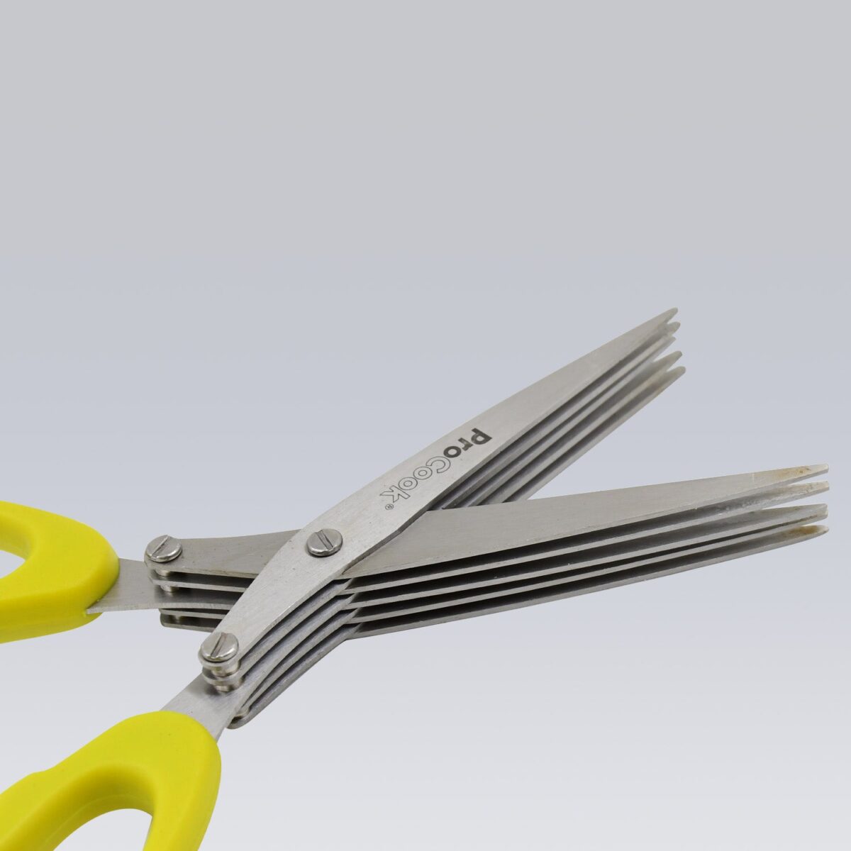 Multifunction Vegetable Stainless Steel Herbs Scissor with 5 Blades (1 Pc) - Image 4