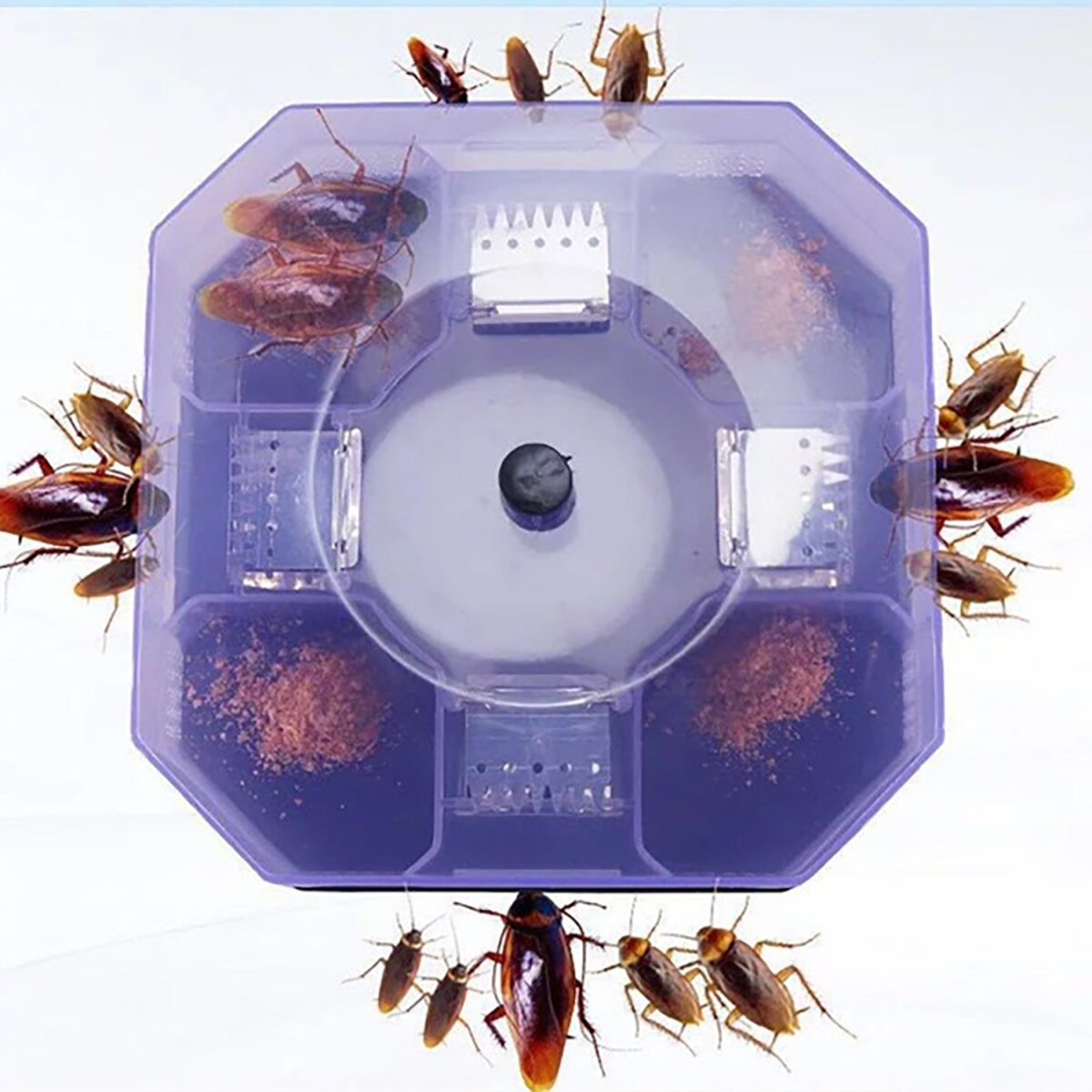 Cockroach Traps Box Cockroach Bug Roach Catcher Cockroach Killer - Image 1