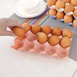 15 Cavity Plastic Egg Tray Egg Trays for Storage with 15 Eggs Holder (4 Pc Set) - Image 5