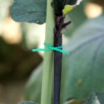 Plastic Twist Tie Wire Spool With Cutter For Garden Yard Plant 50m (Green) - Image 8