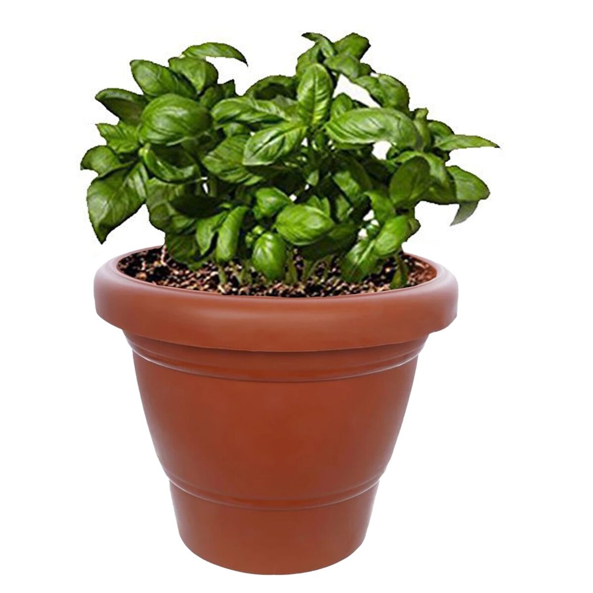 Garden Heavy Plastic Planter Pot / Gamla 6 inch (Brown, Pack of 1, Small) - Image 1