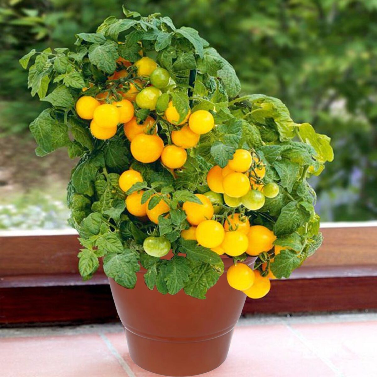 Garden Heavy Plastic Planter Pot / Gamla 6 inch (Brown, Pack of 1, Small) - Image 6