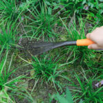 Teeth Rake Garbage Clean up Fork Digger Excavator for Gardens and Planting - Image 5