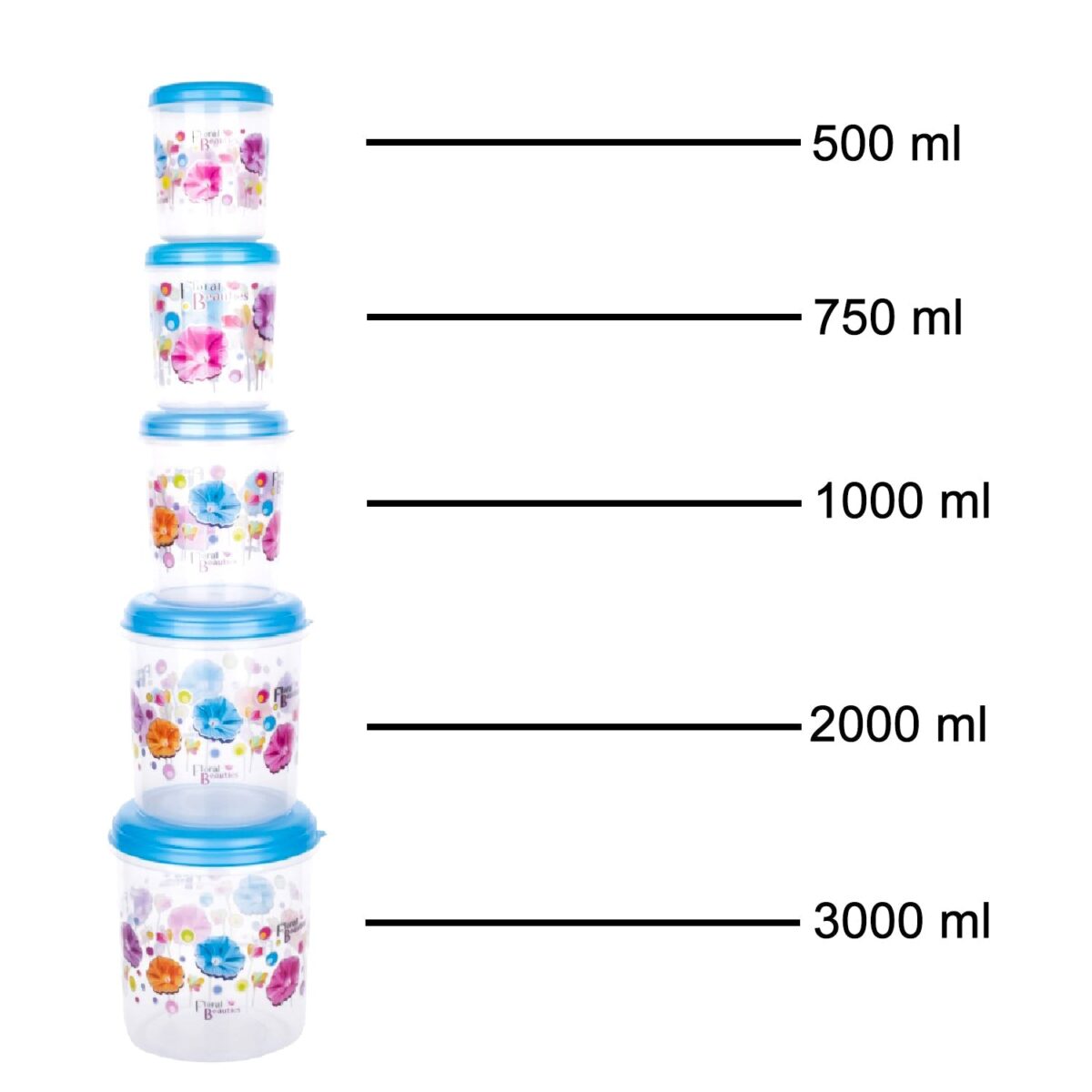 Plastic Transparent Container Air Tight Dabba Set (3000ml, 2000ml, 1000ml, 750ml, 500ml) - Image 5