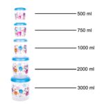 Plastic Transparent Container Air Tight Dabba Set (3000ml, 2000ml, 1000ml, 750ml, 500ml) - Image 5